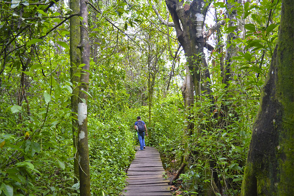 PptoTravel - Riviera Maya - Muyil - Tulum