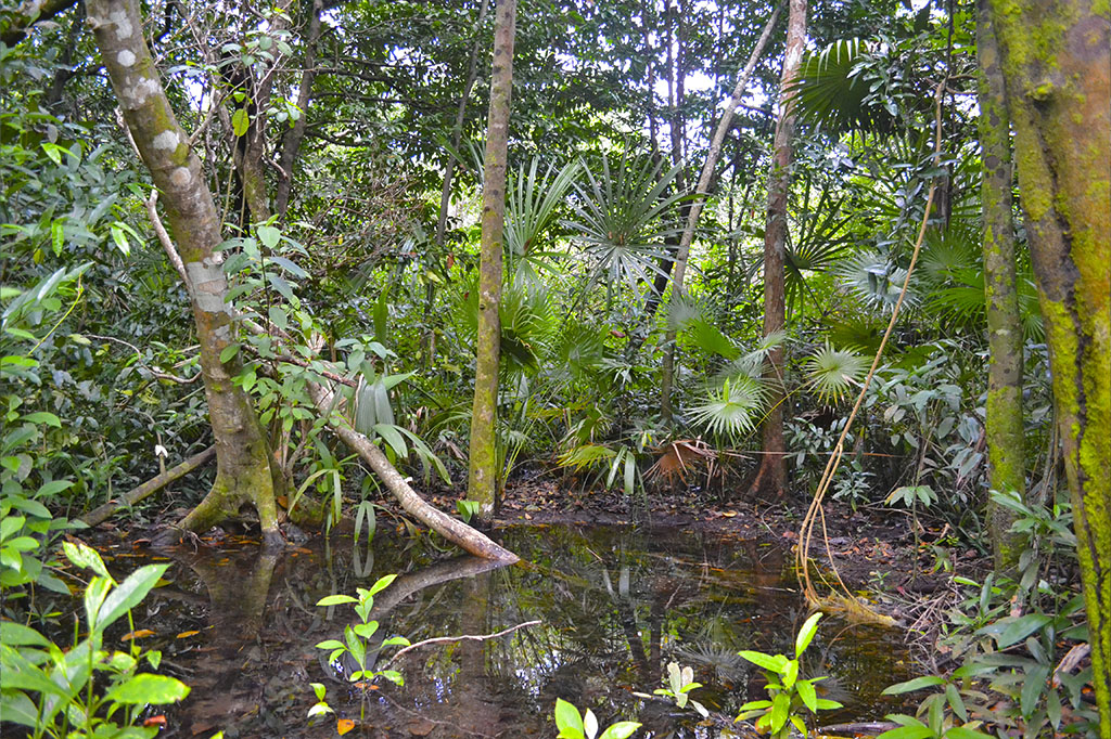 Riviera Maya - Tulum - Muyil - Sian Kaan