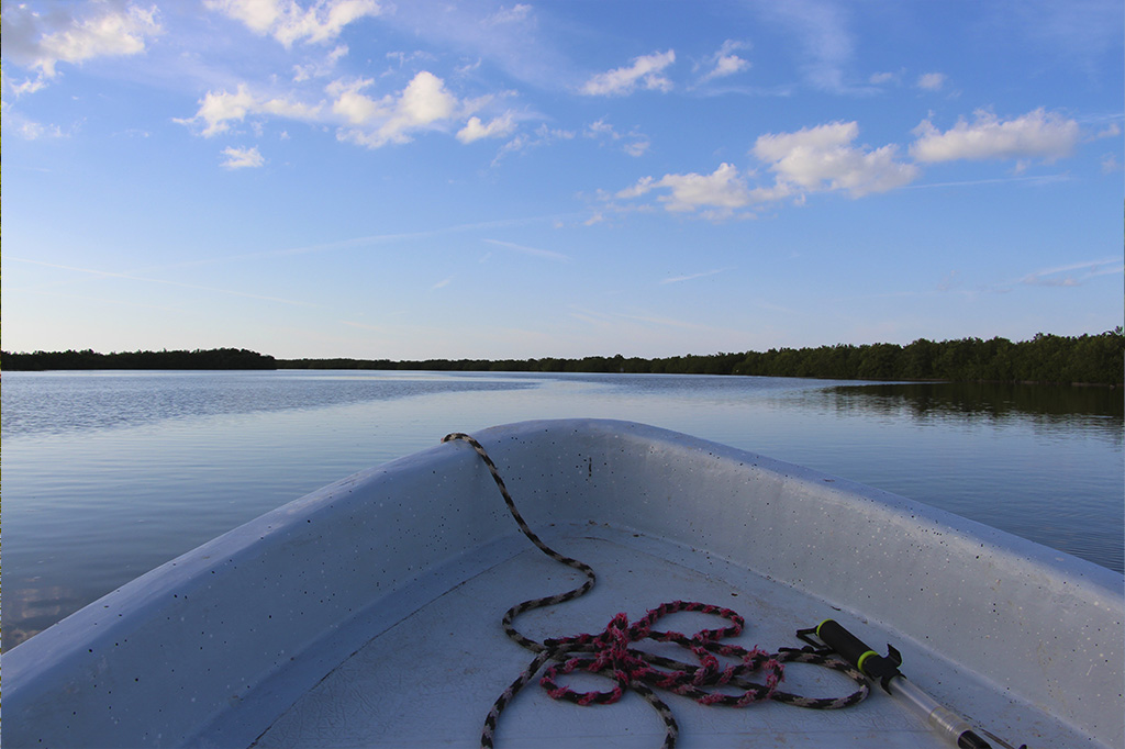 Rio Lagartos - Las Coloradas - Yucatan - Mexico