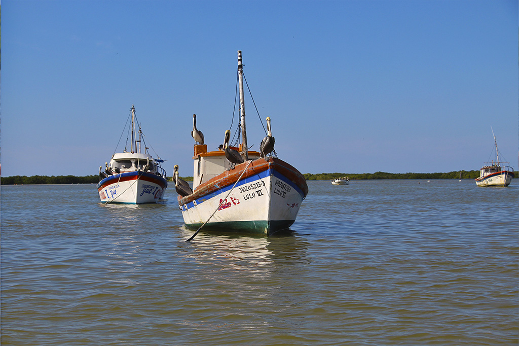 Yucatan - Rio Lagartos - Mexico - PptoTravel