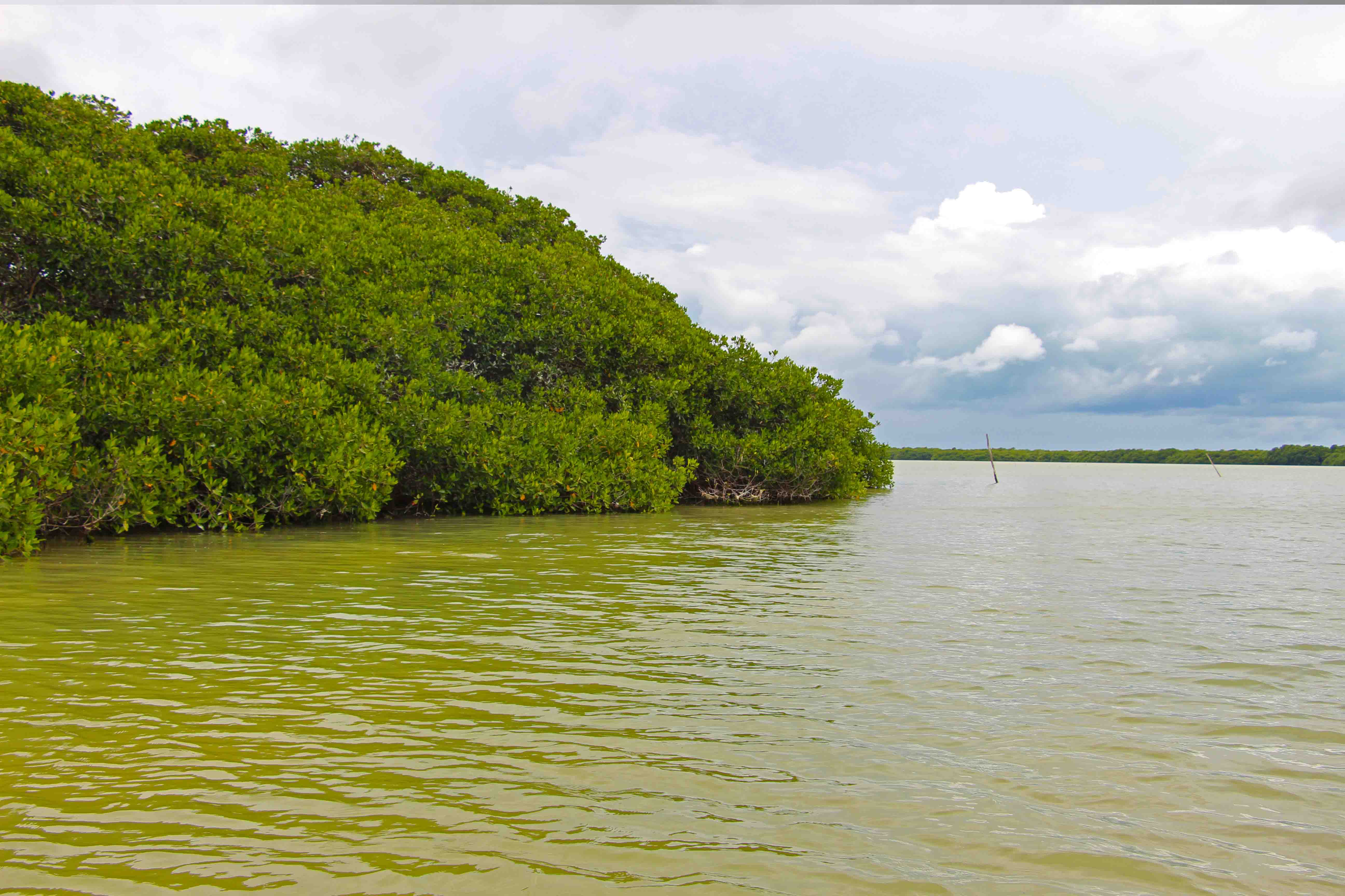 Celestun - Mexico - Yucatan - PptoTravel