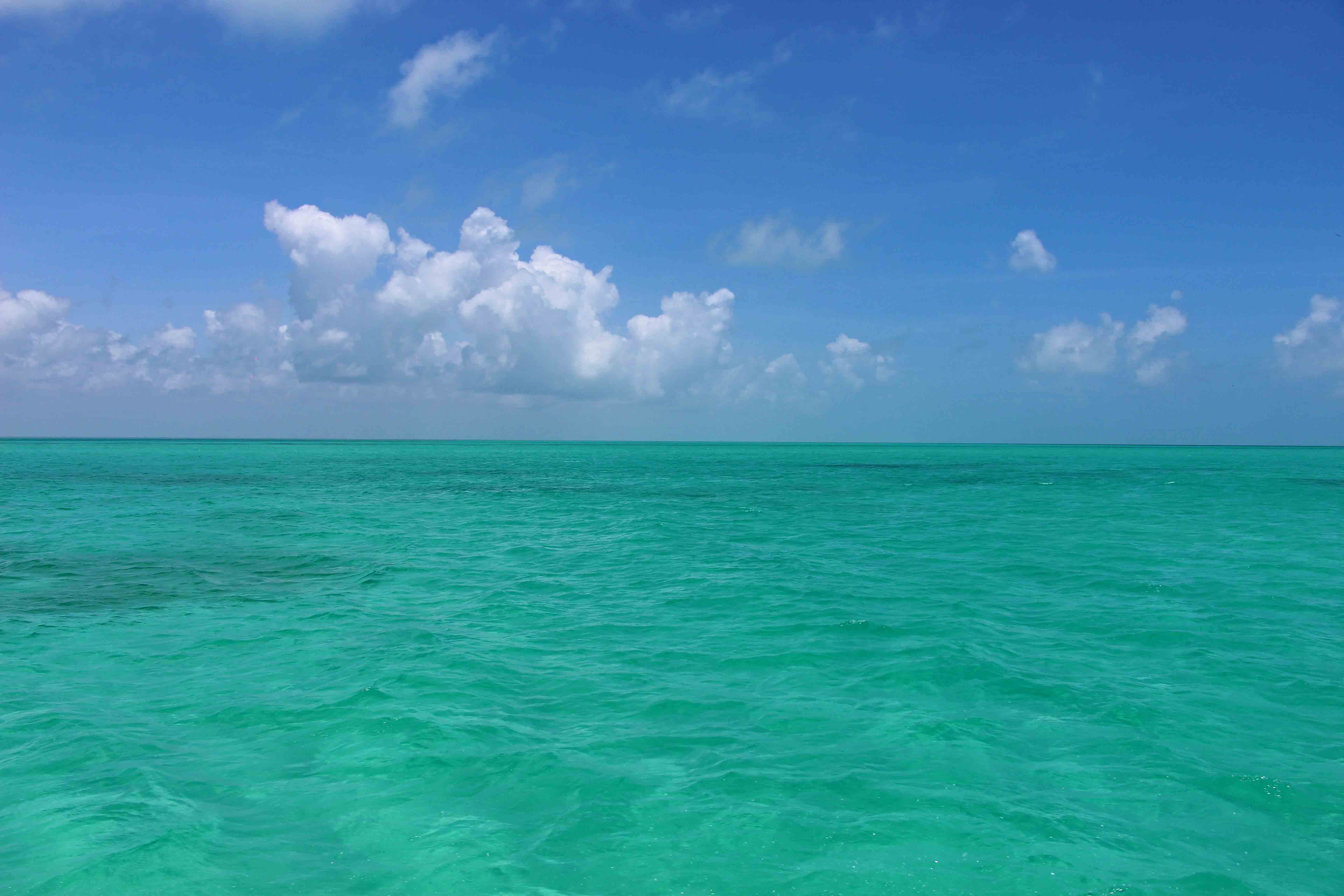 Isla Contoy - PptoTravel - Mexico - Isla Mujeres