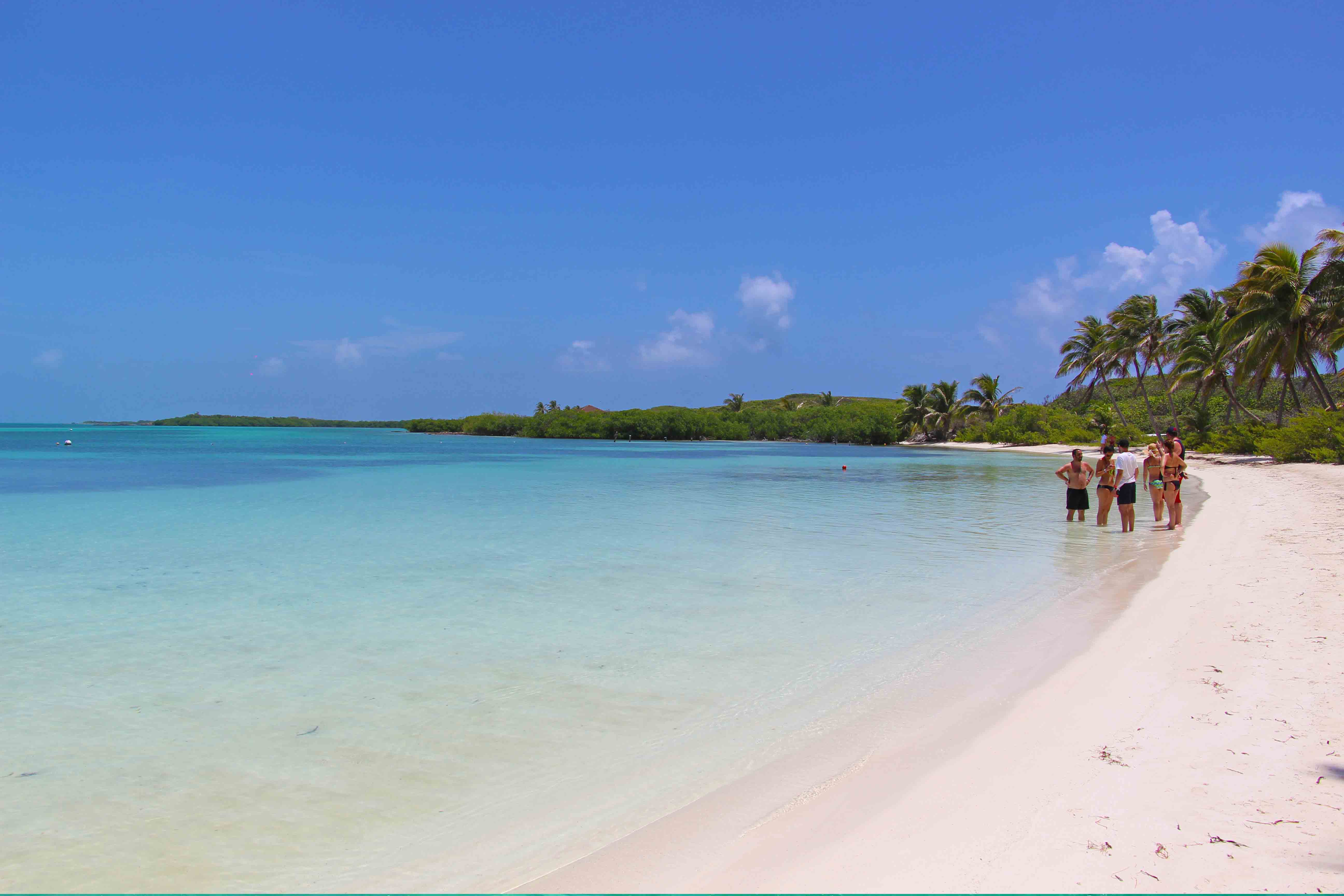 Isla Contoy: un paraíso escondido del Caribe Mexicano