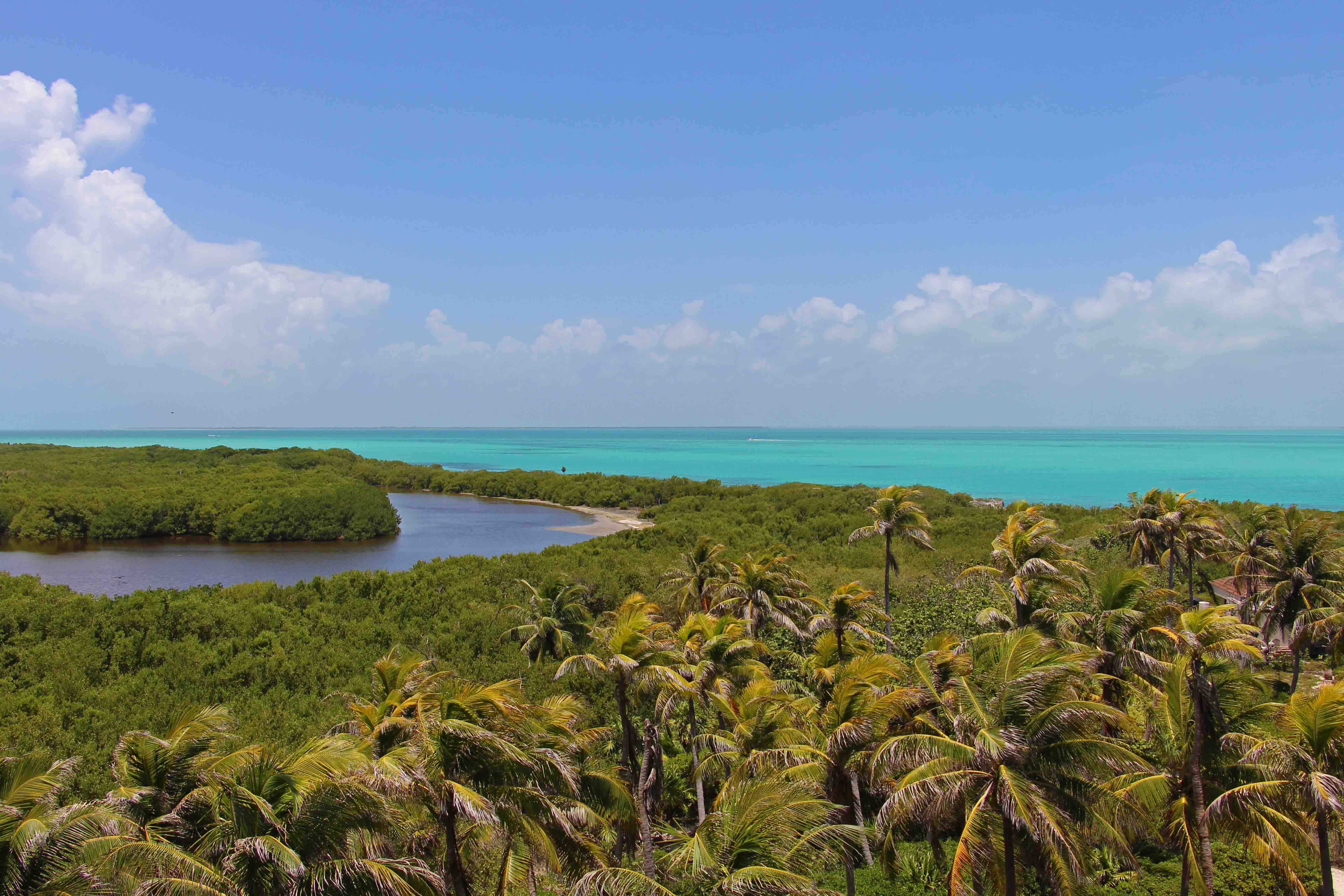 Mexico - Isla Contoy - Caribe Mexicano - PptoTravel
