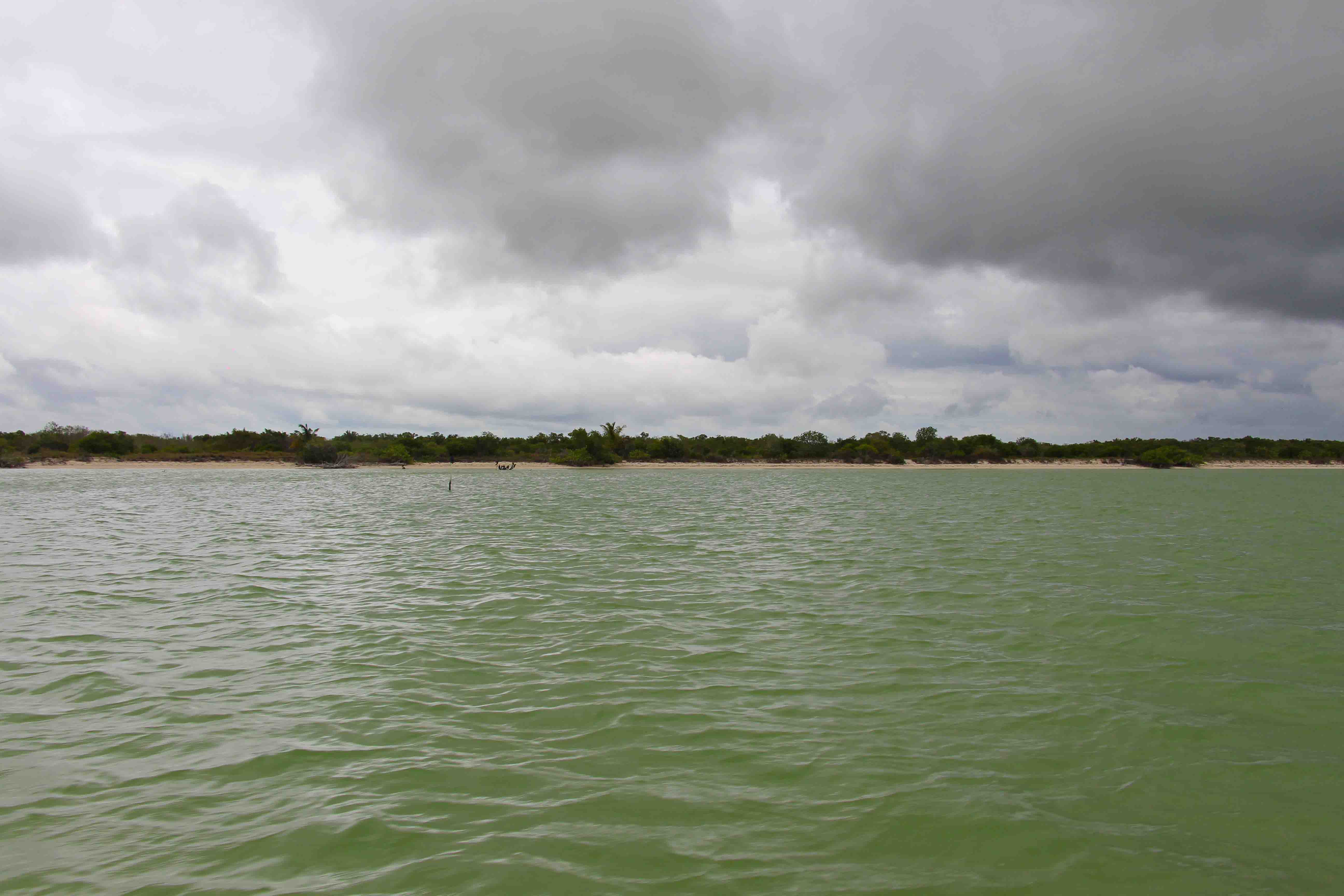 Celestún, Yucatán: las dos caras de un mismo viaje