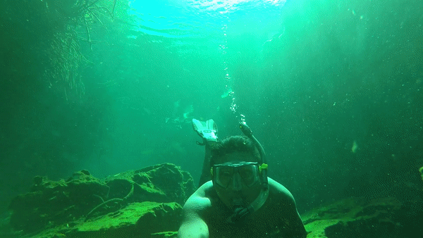 CASA CENOTE-RIVIERA MAYA-TULUM