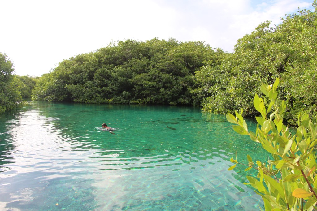 Casa Cenote: una aventura en Riviera&nbsp;Maya