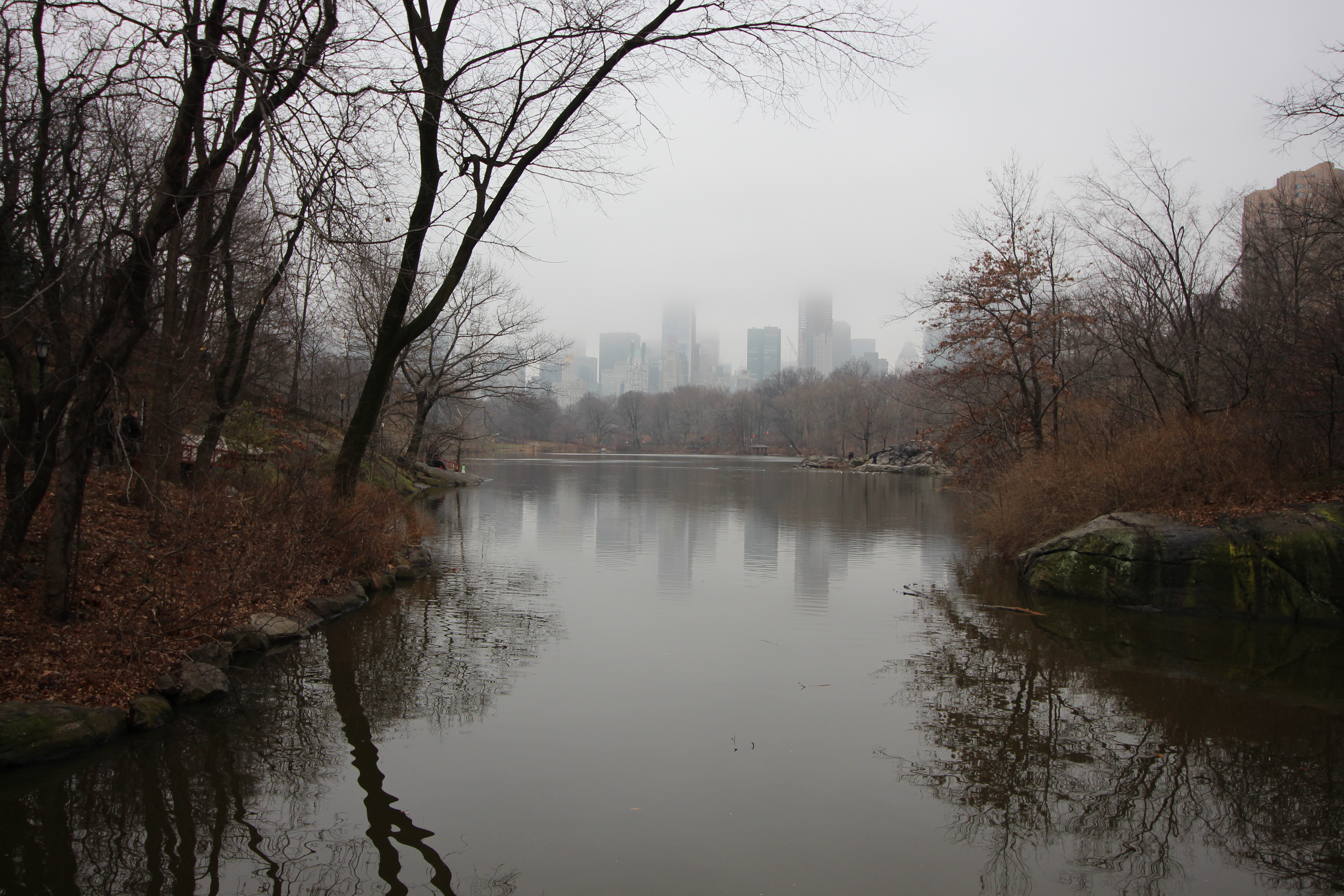 PptoTravel- Nueva York- Central Park