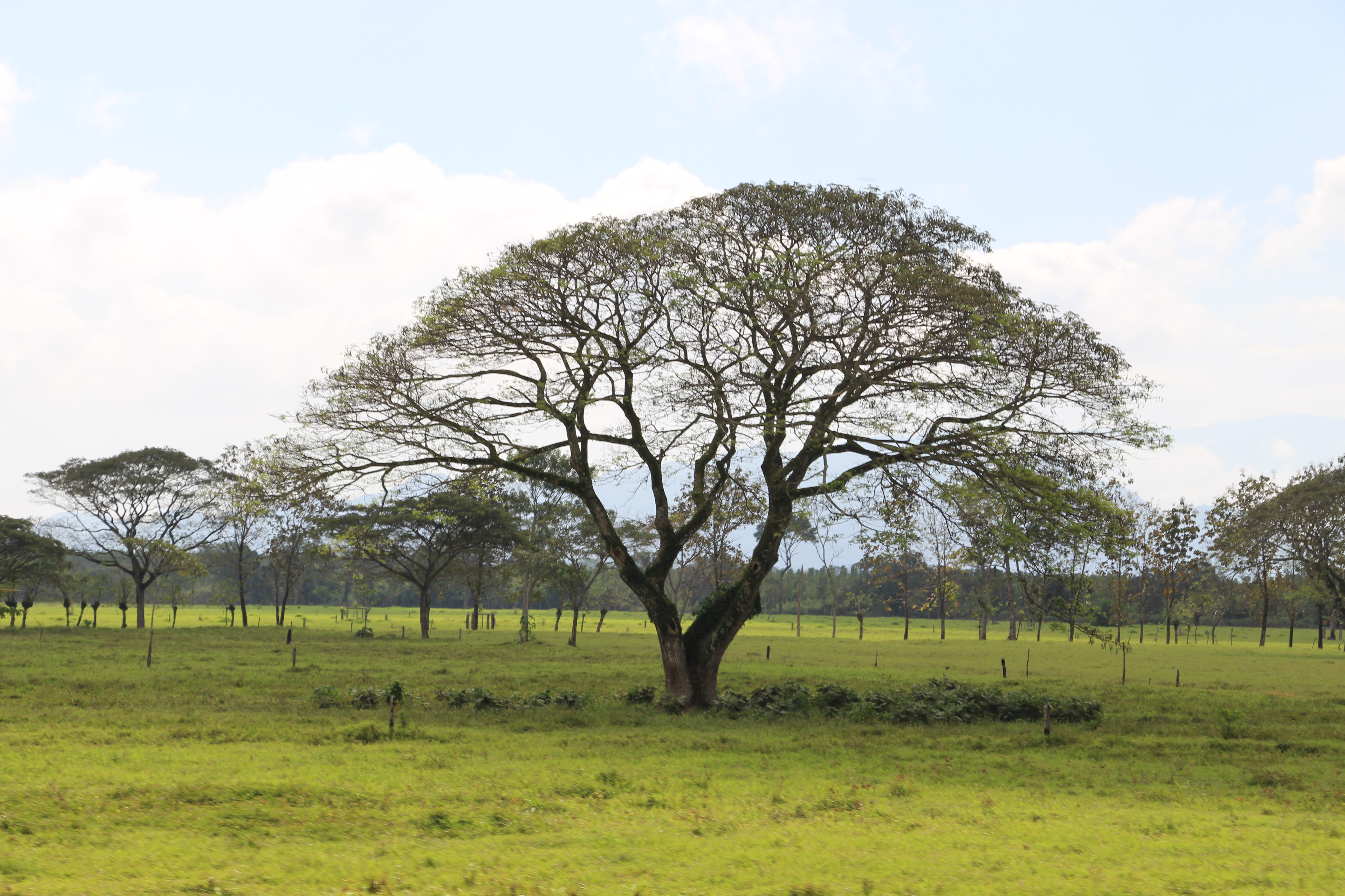 PptoTravel-México-Tabasco