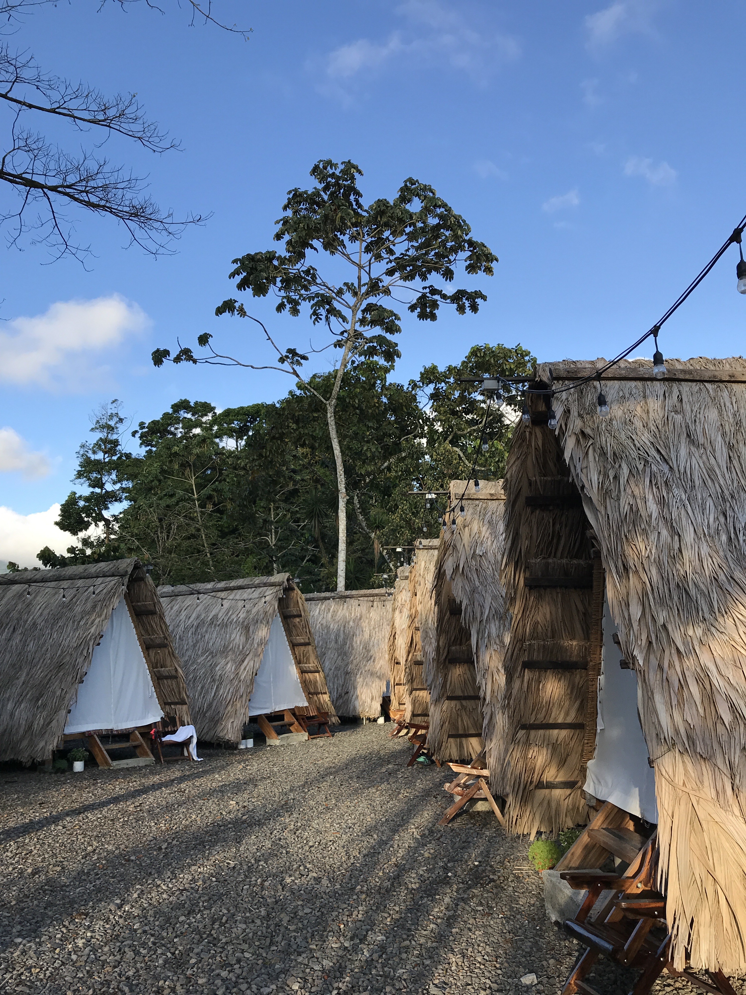 Hostal Selina - PptoTravel - Costa Rica