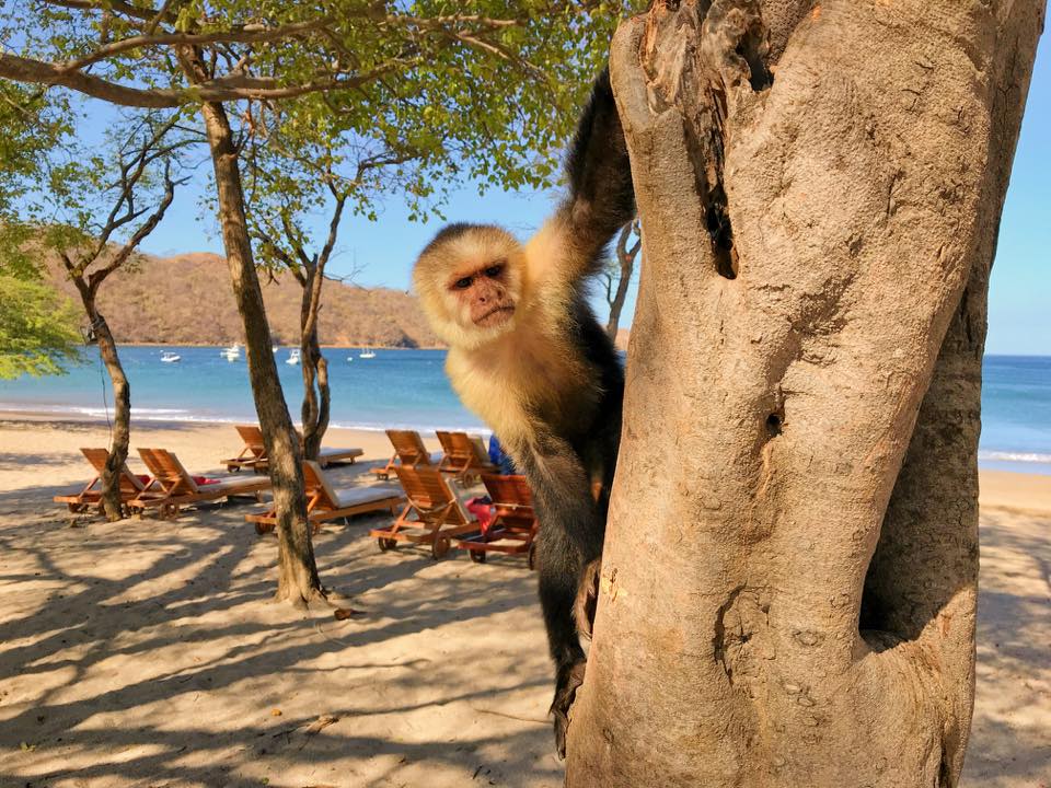 Guanacaste - Costa Rica - PptoTravel