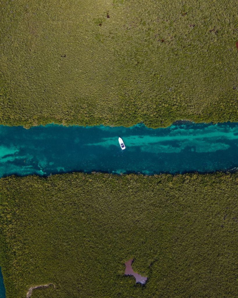 Cancun - Mexico - Manglares - PptoTravel